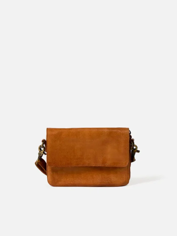 Acile Urban - Walnut