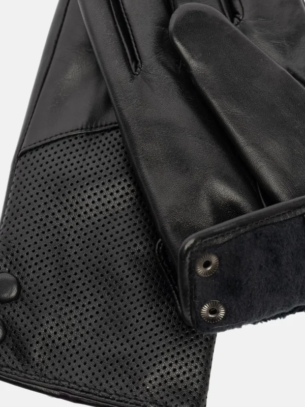 Haven - Black