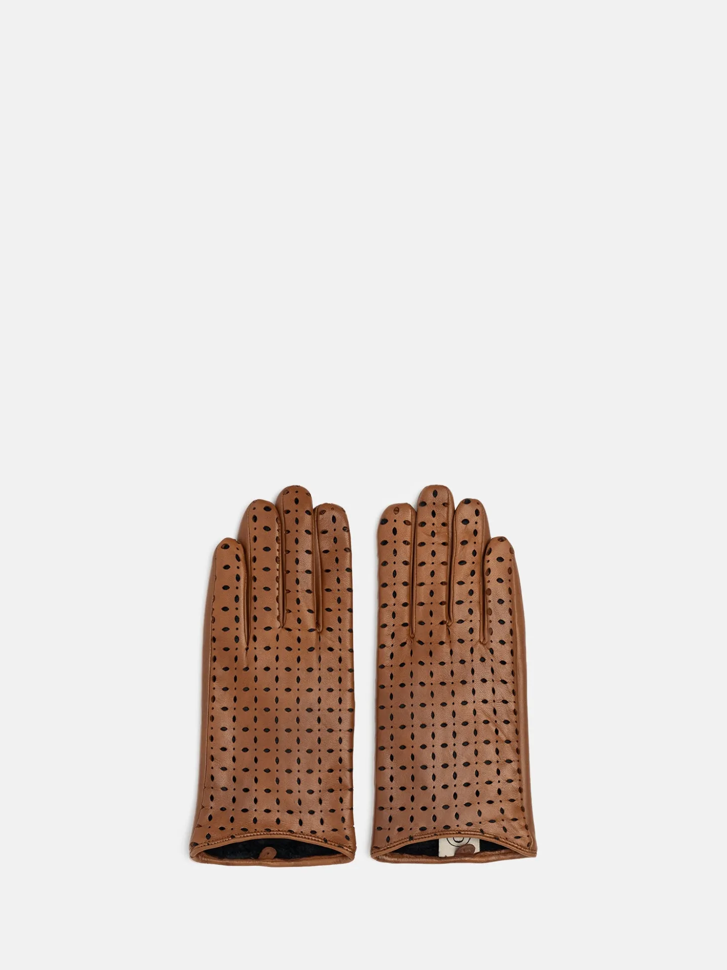 herdis__cognac_0.webp Herdis - Cognac