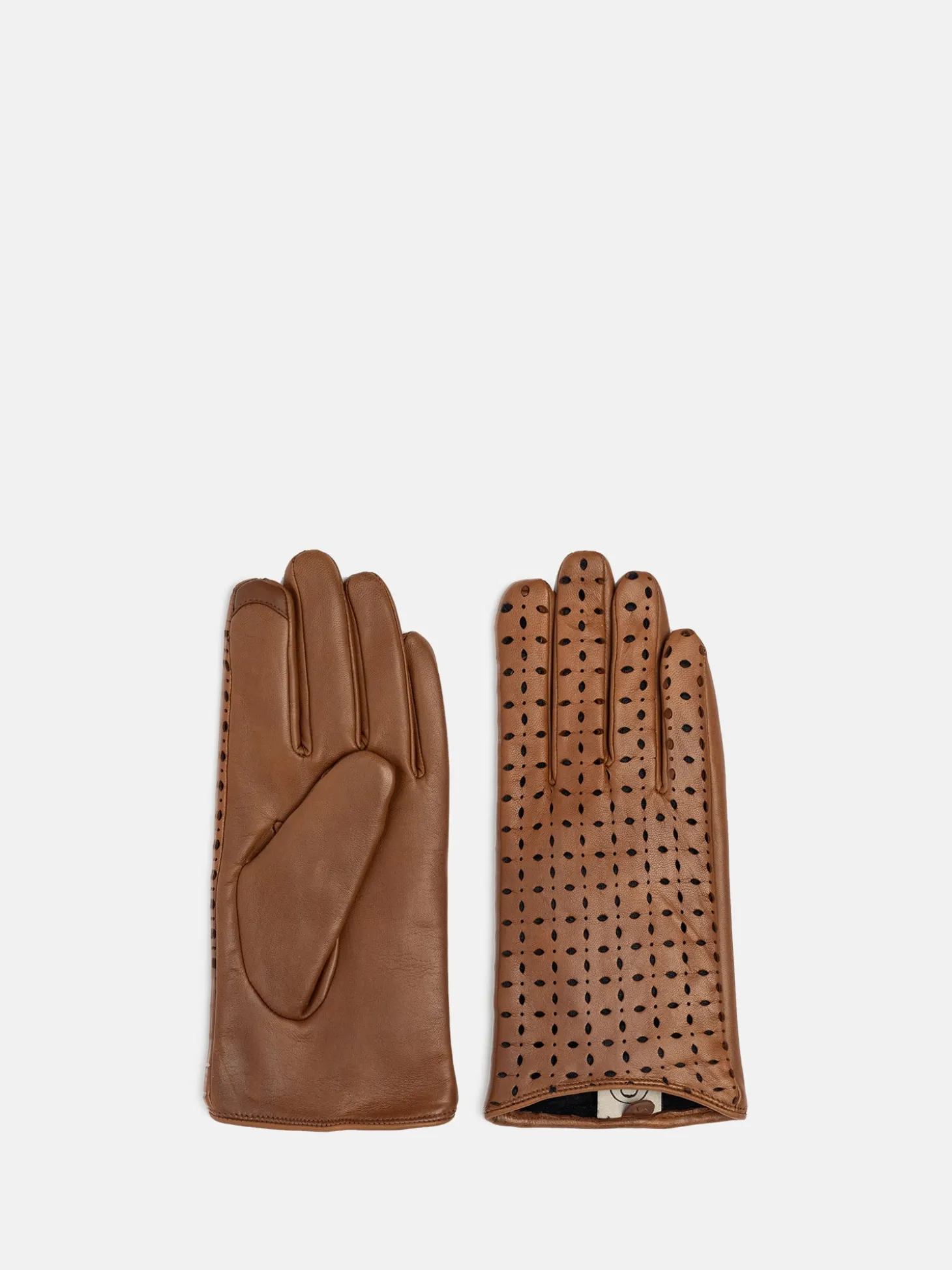 herdis__cognac_1.webp Herdis - Cognac